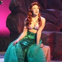 Photo Flash: First Look at Beth Stafford Laird, John Treacy Egan and More in THE…
