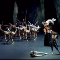 Les Ballets de Monte-Carlo Returns to Segerstrom Center with LAC, Now thru 3/9