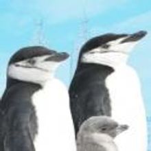 Diversionary Theatre's BIRDS OF A FEATHER Offers Free Tickets for Students and Educat