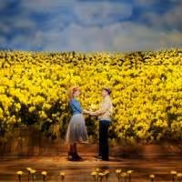 Full Cast Announced for Norbert Leo Butz, Kate Baldwin & Bobby Steggert-Led BIG FISH…
