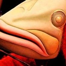 MICHAEL COOPER: MASKED MARVELS & WONDERTALES Set for Harris Center Today