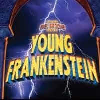 Devin DeSantis to Star in Drury Lane Theatre's YOUNG FRANKENSTEIN, 1/16-3/16