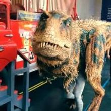 WALKING WITH DINOSAURS Appears on Good Morning America Today