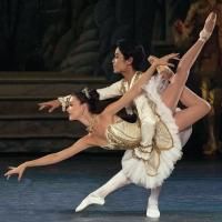 BWW Reviews: LA Ballet Premieres a Spectacular THE SLEEPING BEAUTY