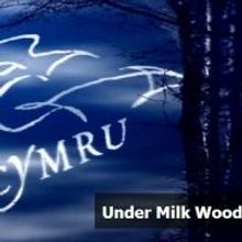 Owen Teale to Star in UK Tour of Dylan Thomas' UNDER MILK WOOD
