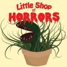 MTG's LITTLE SHOP OF HORRORS Opens Tomorrow