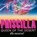 BWW Reviews: The Fox Theatre's Colorful Production of PRISCILLA, QUEEN OF THE DESERT