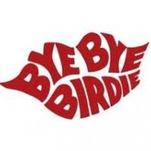 Children's Playhouse of Maryland to Open 2013-14 Season with BYE BYE BIRDIE, Begin. 9