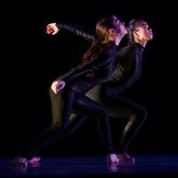 BWW Reviews: Remember the Name LEESAAR THE COMPANY