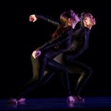 BWW Reviews: Remember the Name LEESAAR THE COMPANY