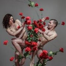 Balassi Institute/Hungarian Cultural Center of New York with Abrons Arts Center Prese