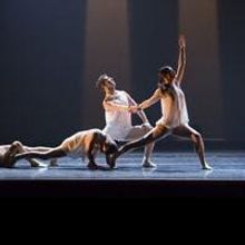 Thodos Dance Chicago's NEW DANCES Series Showcases New Choreography Created by its Ow