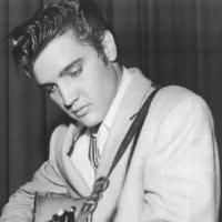 The Grove Theatre Presents ELVISPALOOZA Tonight