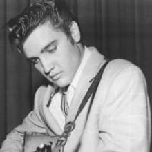 The Grove Theatre Presents ELVISPALOOZA Tonight