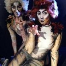 BroadHollow Theatre Company Stages CATS, Now thru 8/17