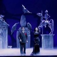 'BWW Reviews: SE SEI UN ADDAMS TU DEVI AVER TANTA PASSIONE'
