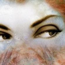 THE TAMING OF THE SHREW & THE TAMER TAMED Will Continue Portland Shakespeare Project'