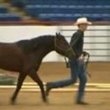 STAGE TUBE: Preview WILD HORSE, WILD RIDE, Released Today, 8/24