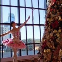 Houston Ballet to Kick Off Holiday Season with Wortham Theater Center Tree Lighting…