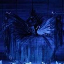 Town Hall Theater to Broadcast SWAN LAKE in HD, 1/25