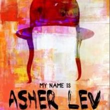 American Stage Theatre Presents MY NAME IS ASHER LEV, Now thru 8/25