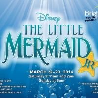 Naperville's BrightSide Theatre Youth Project to Present Disney's THE LITTLE…
