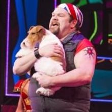 Photo Flash: 2014 Westminster 'Best In Show' Winner Makes Surprise Broadway Debut in…