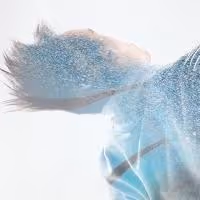 2FACED DANCE to Premiere New Double Bill at the Place, March 10-11