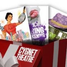 Cygnet Theatre Offers Black Friday Deals