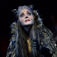 Photo Coverage: There's a New Glamour Cat in Town! First Look at Kerry Ellis As…