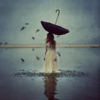 BWW Blog: Amy Parrish - Inspiration Photography