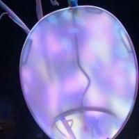 CIRQUE DU SOLEIL to Stage One-Night-Only Performance, 3/22