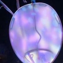 CIRQUE DU SOLEIL to Stage One-Night-Only Performance, 3/22