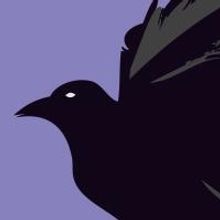 Leading Irish Dramatist Marina Carr Visits Pittsburgh to Celebrate Premiere of WOMAN 