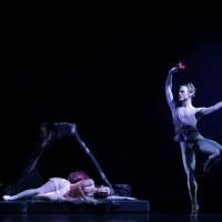 American Repertory Ballet Hosts 'Behind the Music' Event for A MIDSUMMER NIGHT'S…