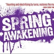 Cygnet Theatre Receives $10K NEA Grant for SPRING AWAKENING and More