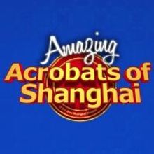 Amazing Acrobats Show Continues at New Shanghai Theatre Under New Management