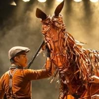 BWW Interviews & Reviews: WAR HORSE Visits Minneapolis Video