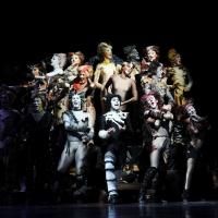 Photo Flash: Sneak Peek of Elizabeth Stanley & More in Pittsburgh CLO's CATS!