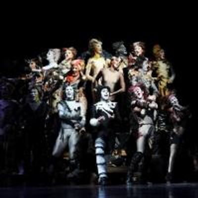 Photo Flash: Sneak Peek of Elizabeth Stanley &amp; More in Pittsburgh CLO's CATS!