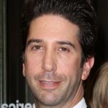 David Schwimmer Joins Ryan Murphy's 'AMERICAN CRIME STORY' on FX