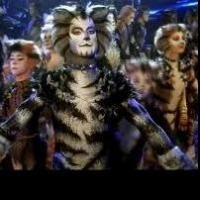Spotlight on CATS, Coming to Toronto May 28