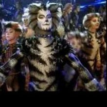 Spotlight on CATS, Coming to Toronto May 28