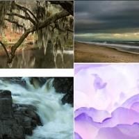 Barbara Beyda Set for Fine Art Photography Showing in Long Branch, Today