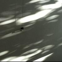 Stephen Vitiello's LIGHT READINGS Set for Baryshnikov Arts Center, 12/8-18