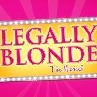 Wolverhampton Musical Comedy Company to Present the Amateur Premiere of LEGALLY…