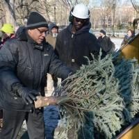 NYC Parks Celebrates New Year of Recycling Trees at Mulchfest 2015