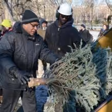 NYC Parks Celebrates New Year of Recycling Trees at Mulchfest 2015