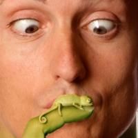 Laurika Rauch and Chris Chameleon Set for African Music Festival 12 Today