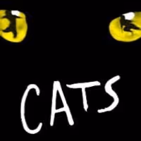 CATS Opens at King's Theatre Glasgow Today